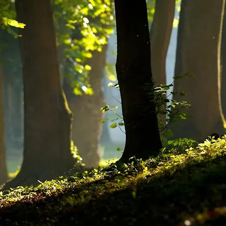 Goricko 3* Grad (Pomurje)