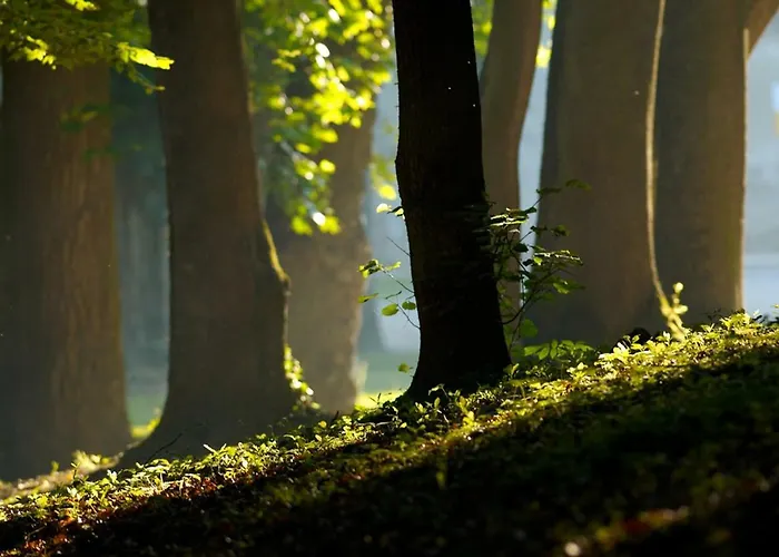 Goricko 3* Grad (Pomurje)